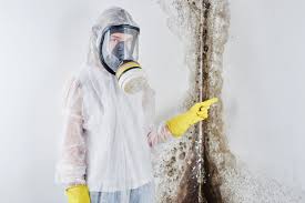 Mold Odor Removal Services in Lodi, WI